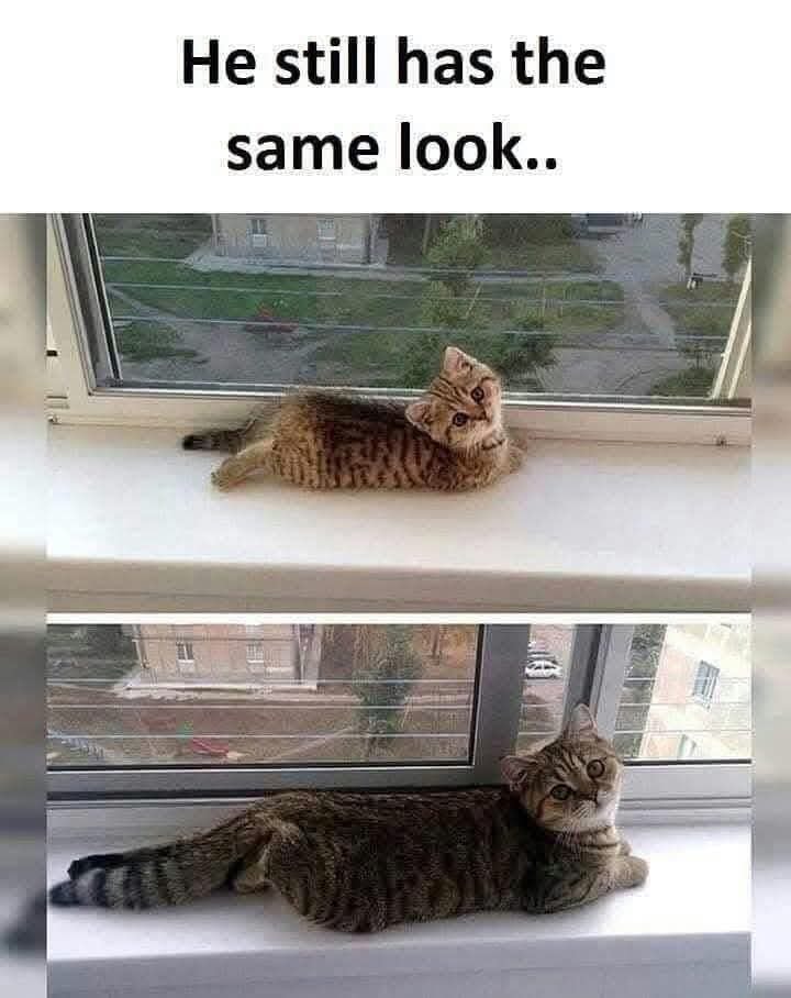 23948 24