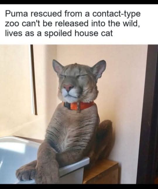 23948 29