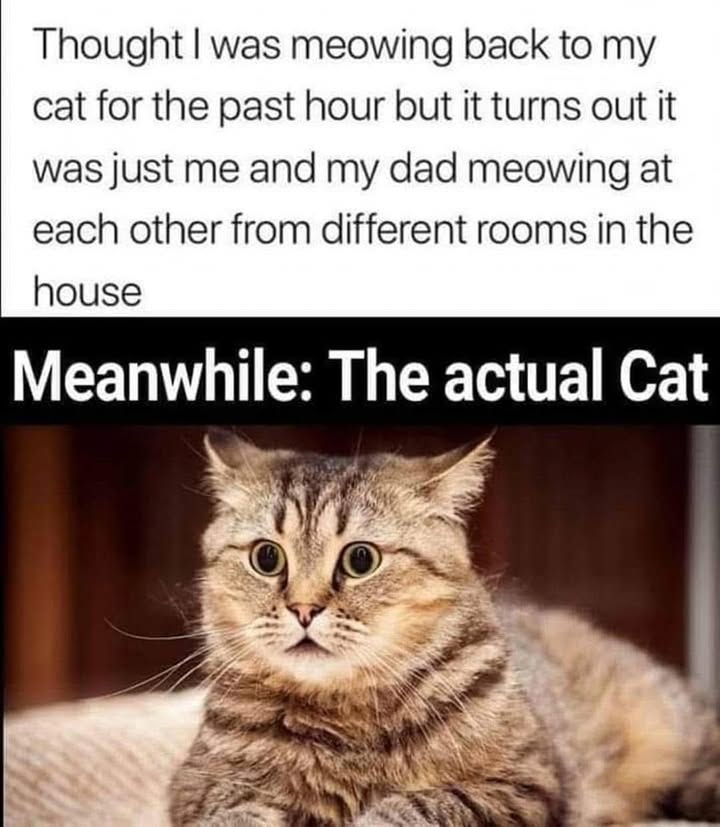23948 30