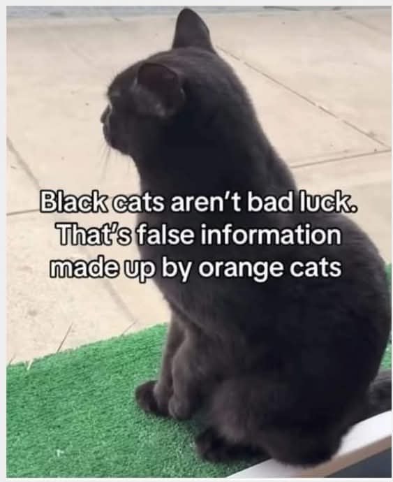 23948 34
