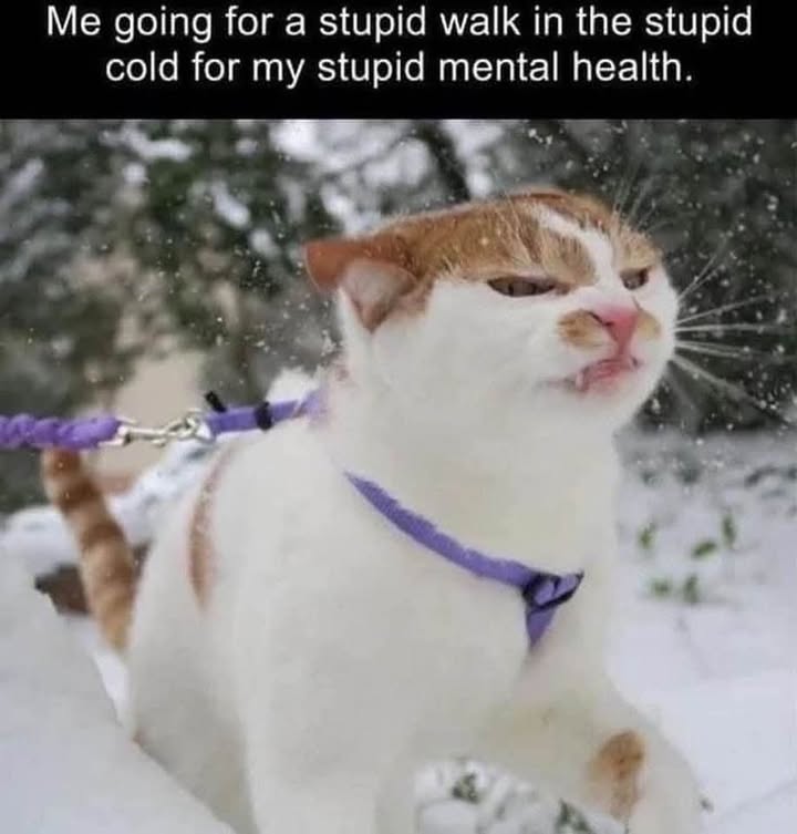 23948 35
