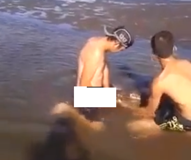 2 Guys 1 Fish Meme