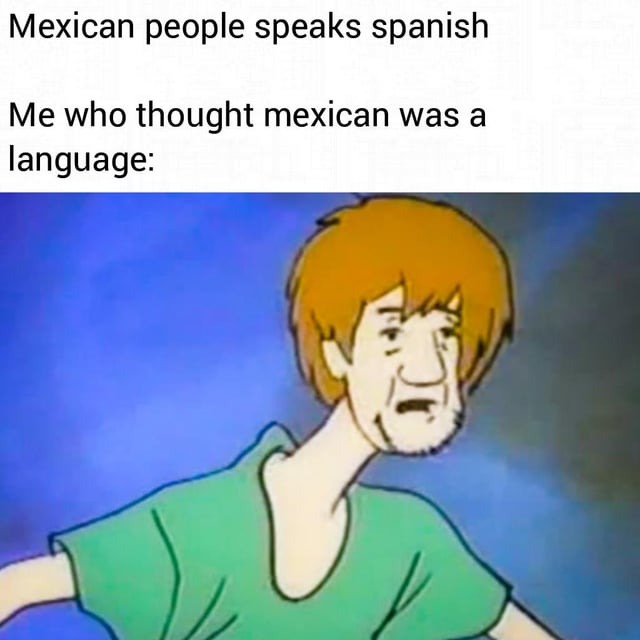 24193 28