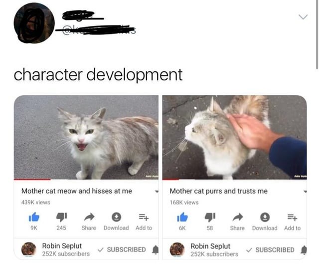 24556 16