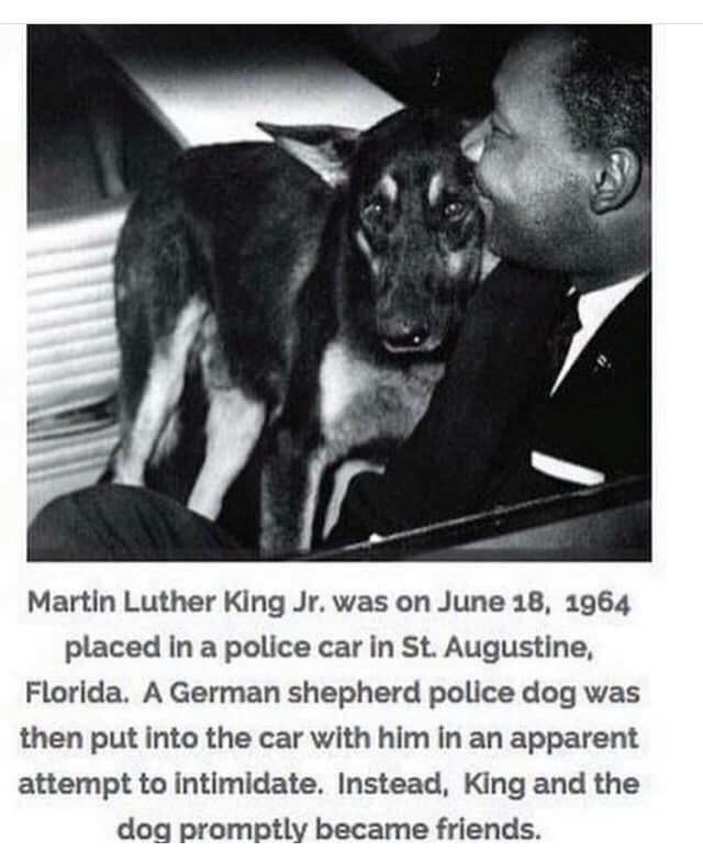 24556 36