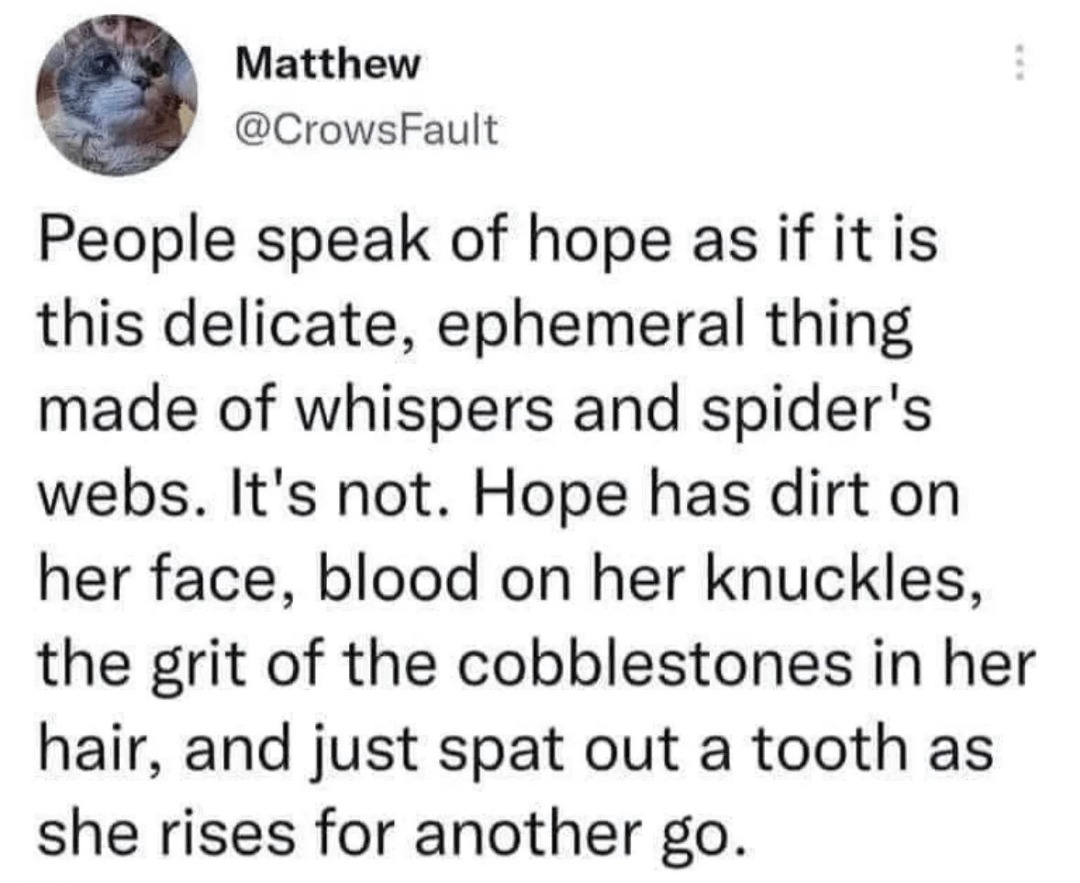 24556 38
