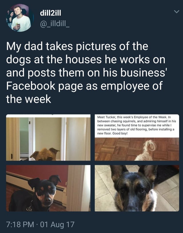 24556 5