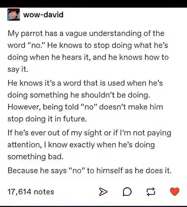 24556 8