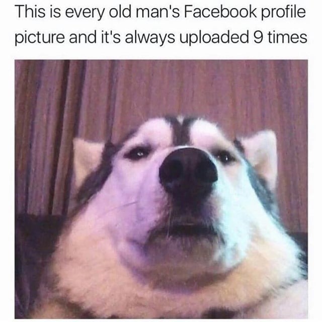 24744 1