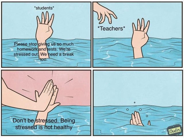 24844 19