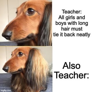 24844 27