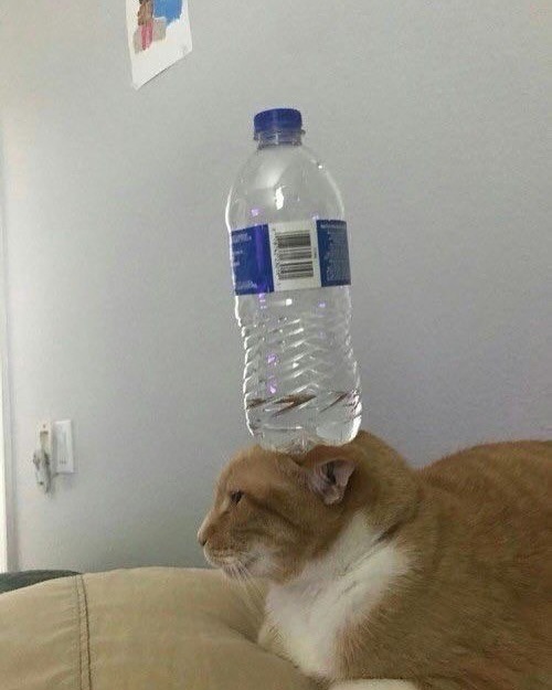 24852 10