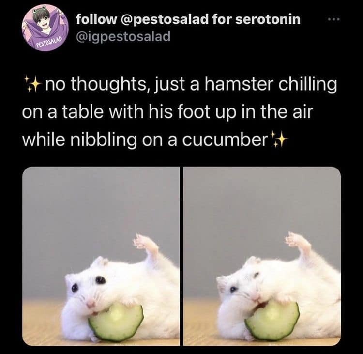 24852 27