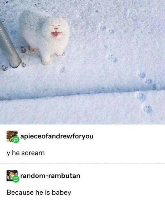 24852 30