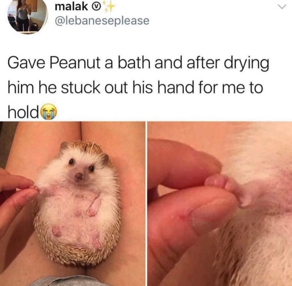 24852 31
