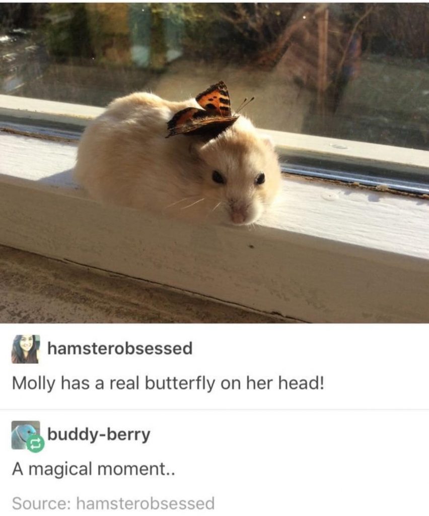24852 35