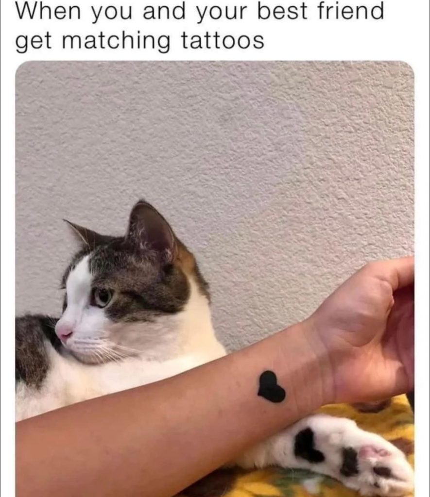 24852 37