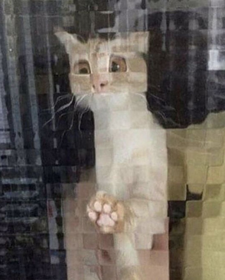 24852 39