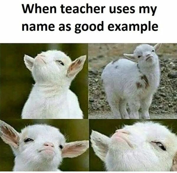 24896 20