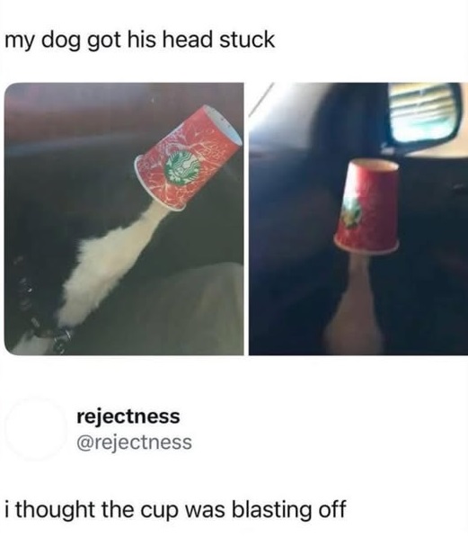 25030 20