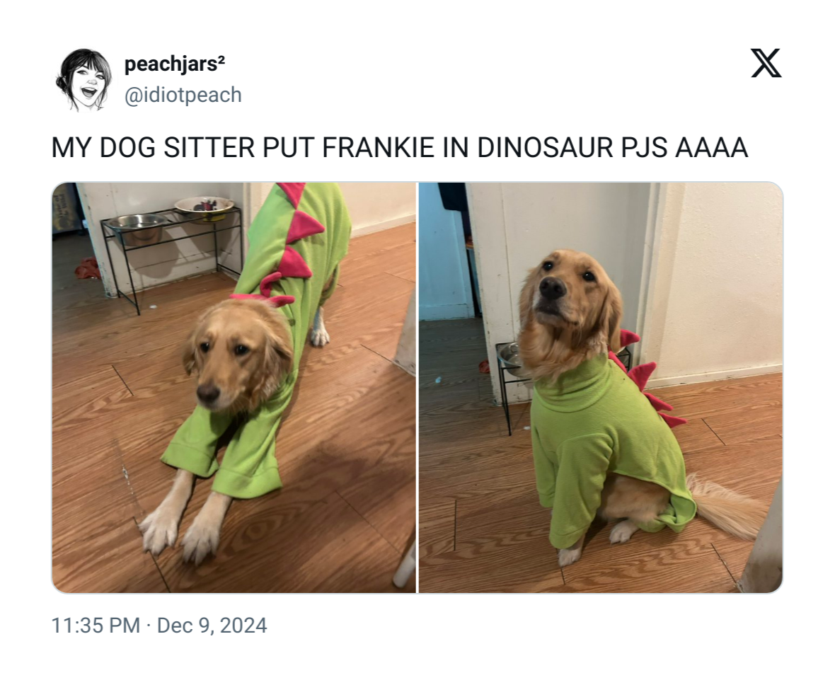 25508 6