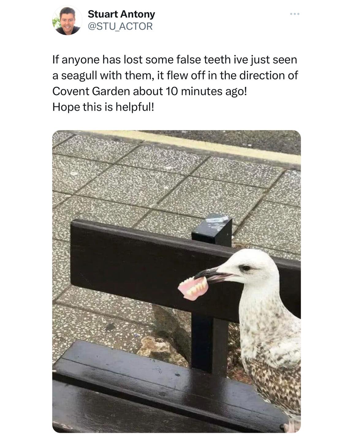 438097332 856575773180451 1606561553353257316 n