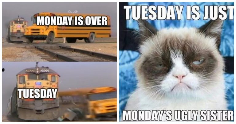 40 Tuesday Memes to Help You Survive the Most Forgettable Day of the Week