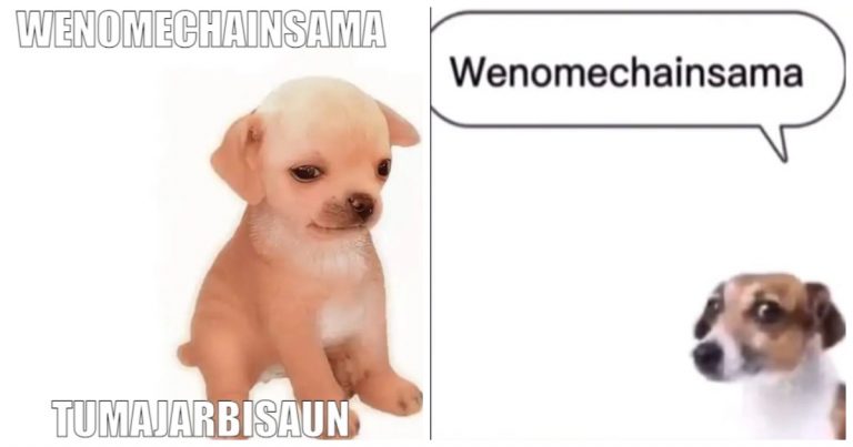 Wenomechainsama Meme EXPLAINED: Meaning, Origin, and Why It Went Viral
