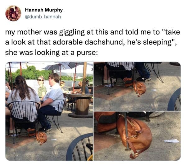awkward tweets 11 4 4 2024