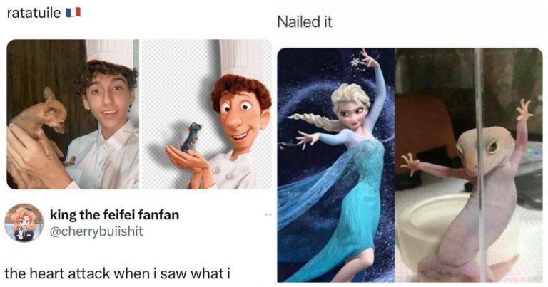 40 Disney Memes That’ll Have You Singing ‘I Just Can’t Wait to Meme Again
