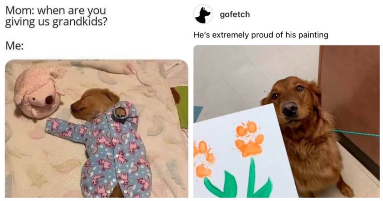 40 Dog Memes That Capture the Chaos of Pet Parenthood