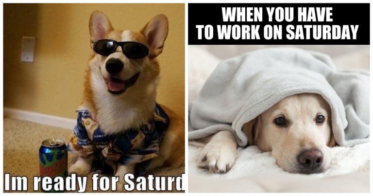 40 Saturday Memes That Perfectly Capture Weekend Vibes