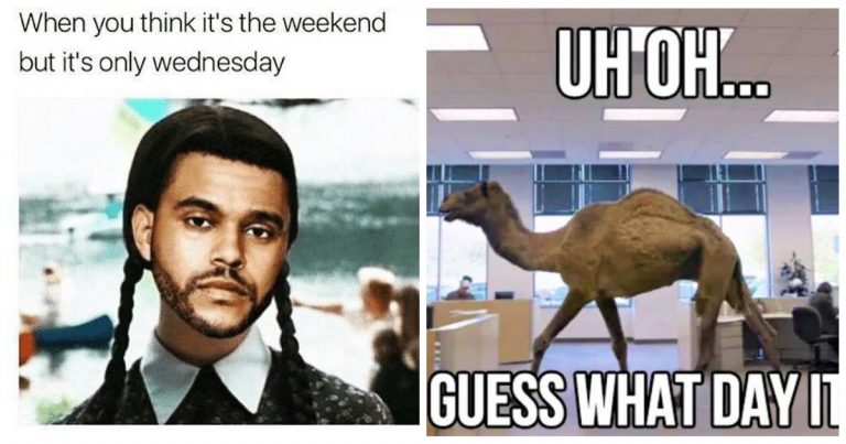40 Hilarious Wednesday Memes to Get You Through the Midweek Slump