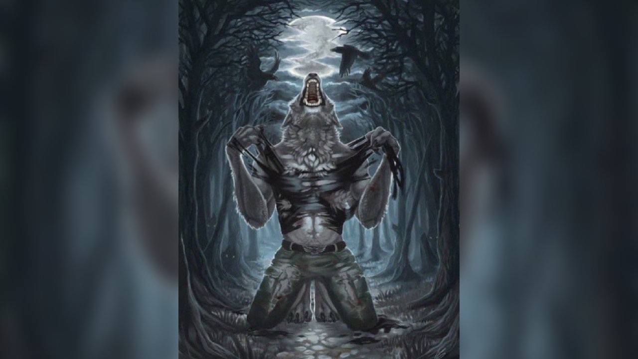 wolfripcover