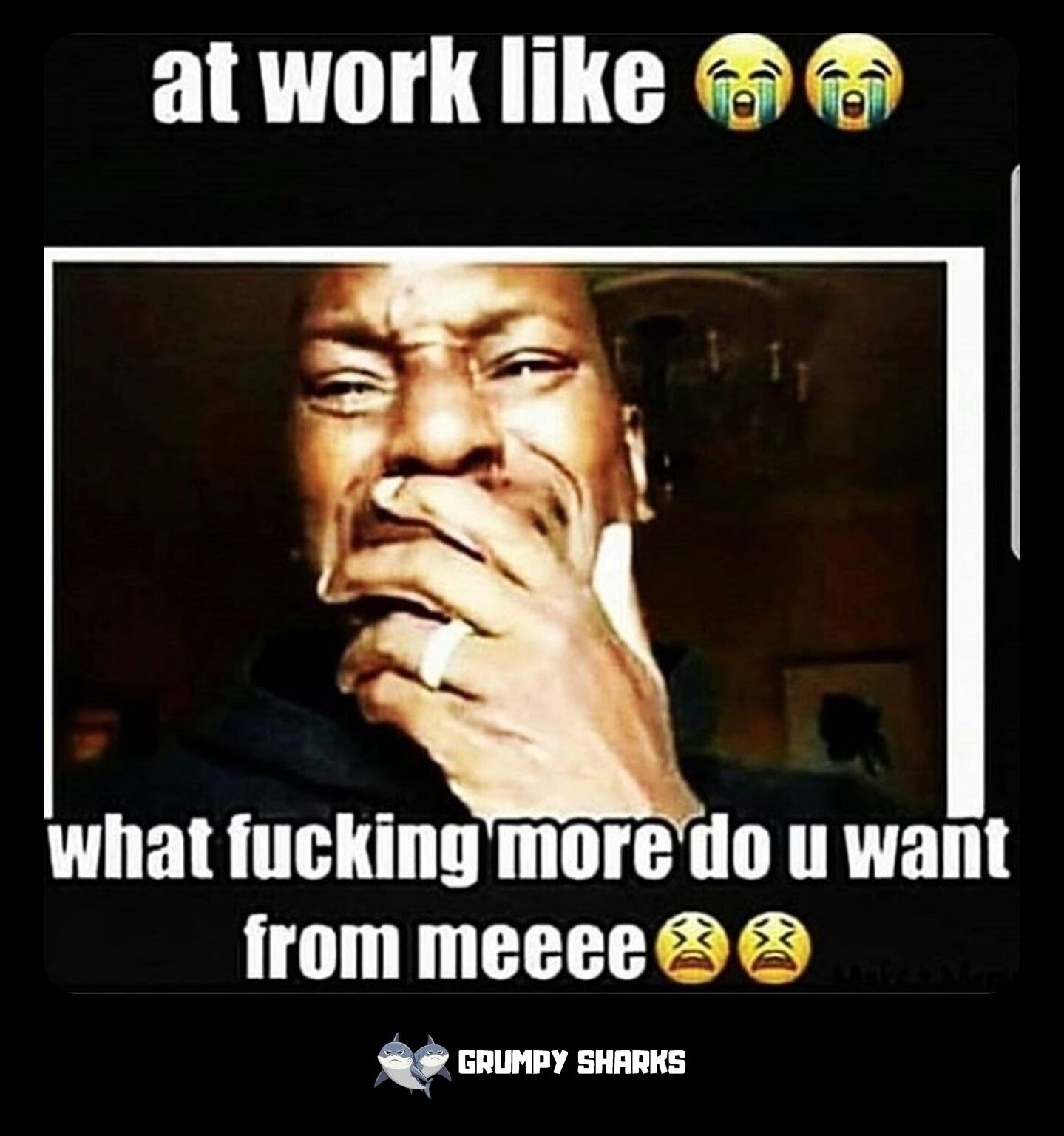 My Shayla Meme