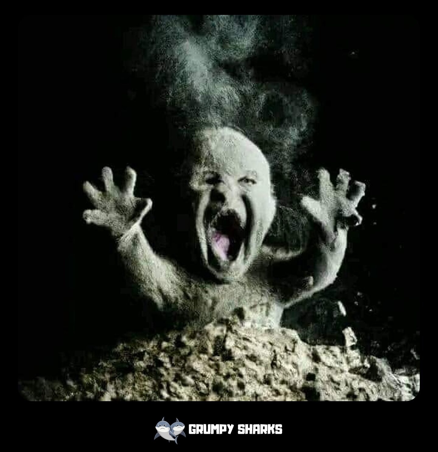 Ash Baby Meme