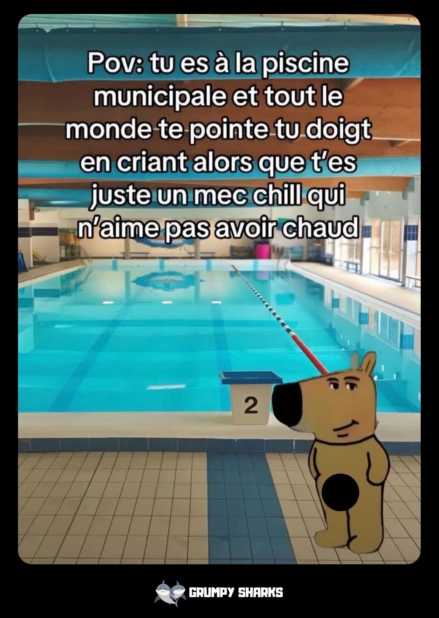 Chill Guy in the Pool