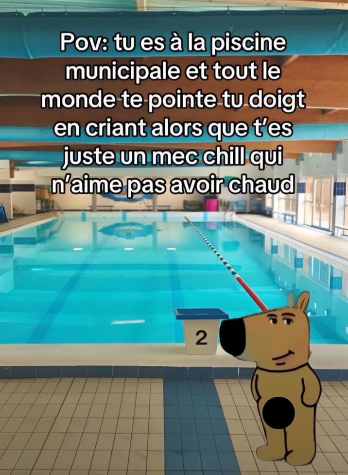 Chill Guy in the Pool