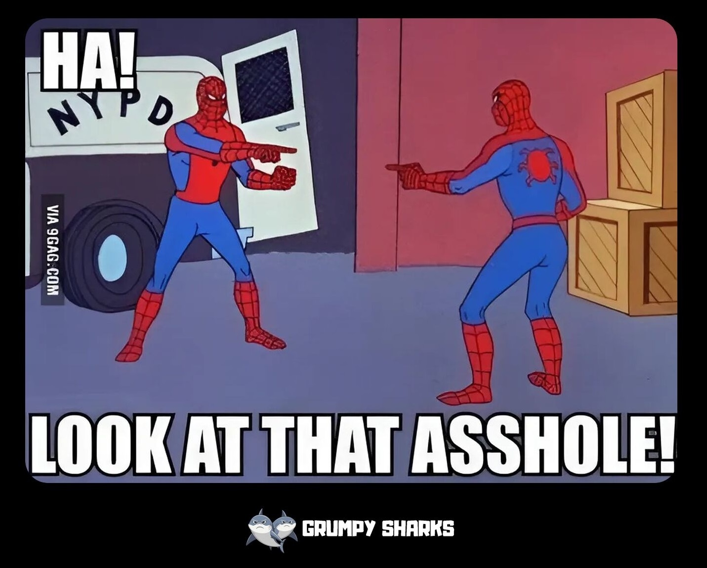 HA! Look at that a**hole!