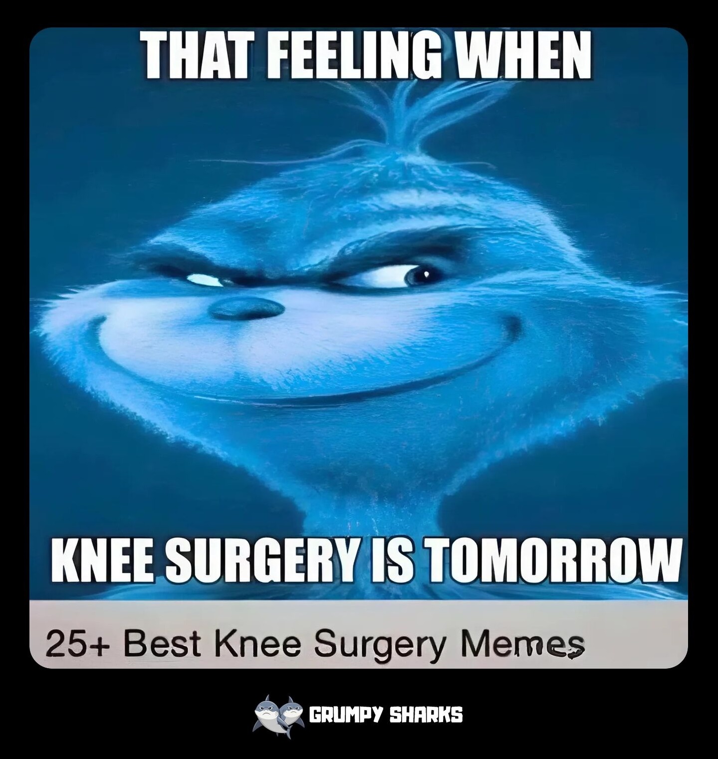 Blue Grinch Knee Surgery Meme