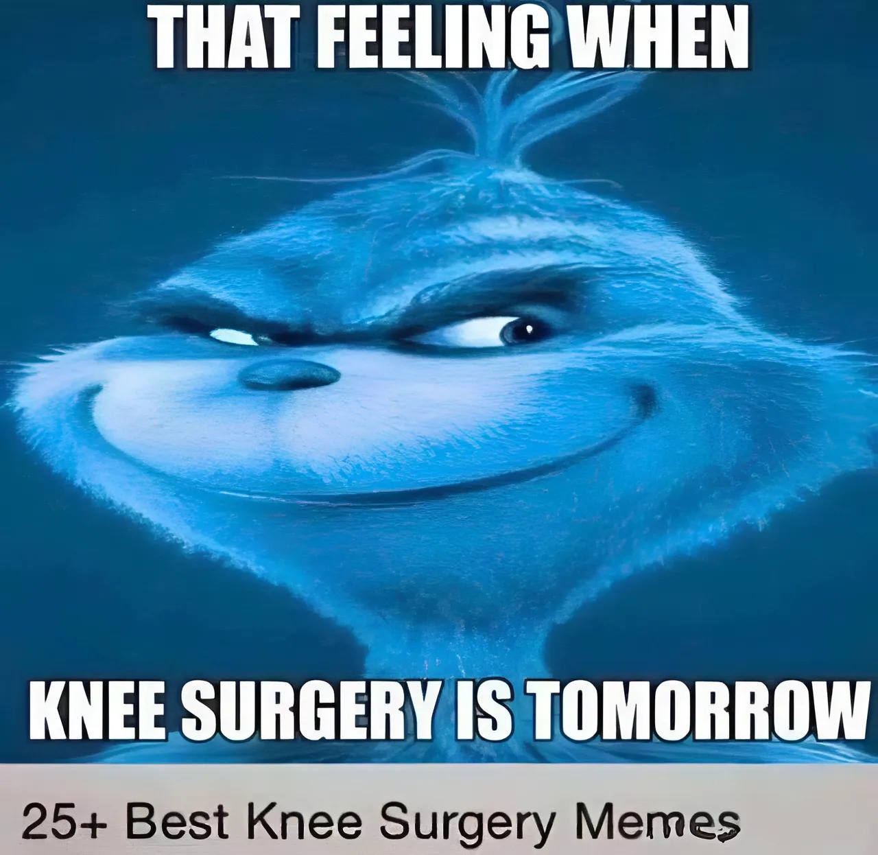Blue Grinch Knee Surgery Meme