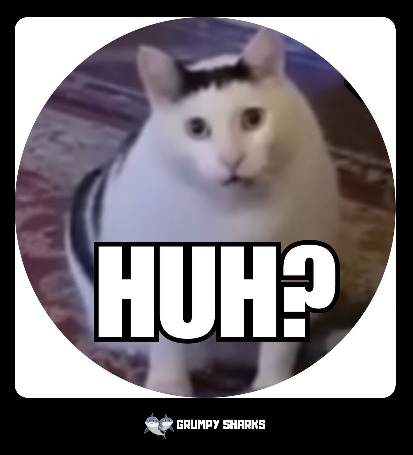 Huh Cat Meme
