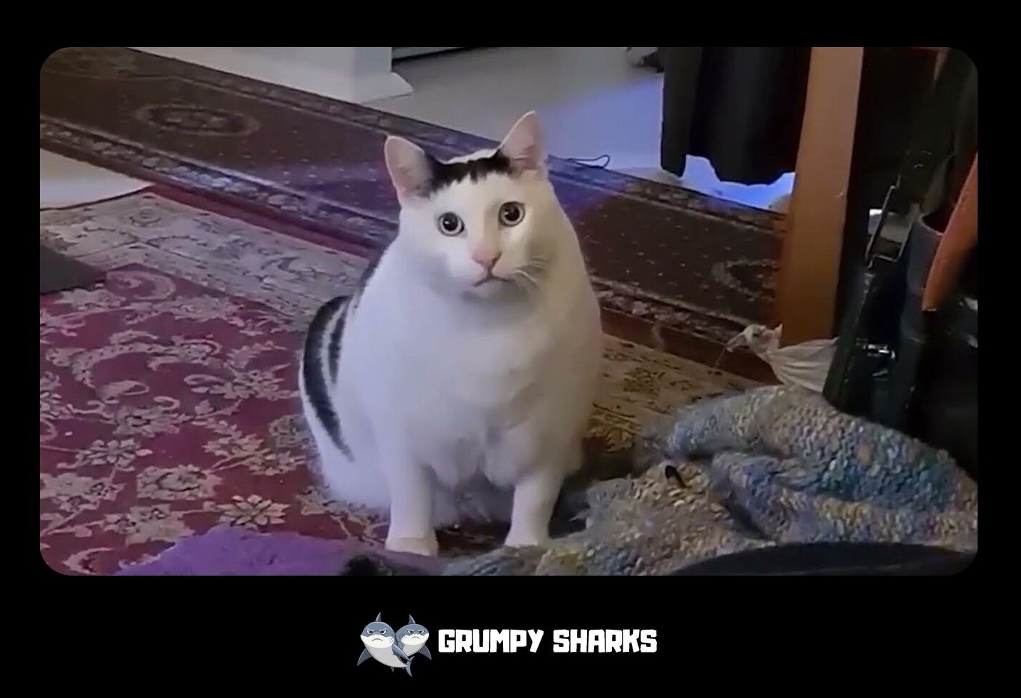 27248 2 1