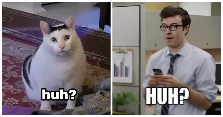 Huh Meme Explained: Meaning, Origin, and Variations