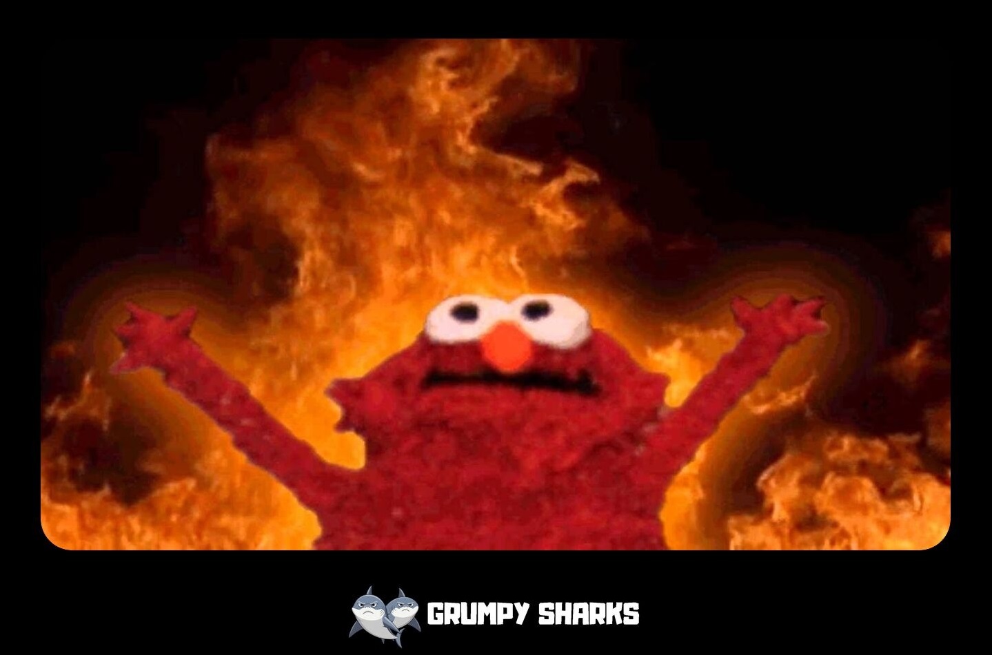 What Is the Elmo Meme?