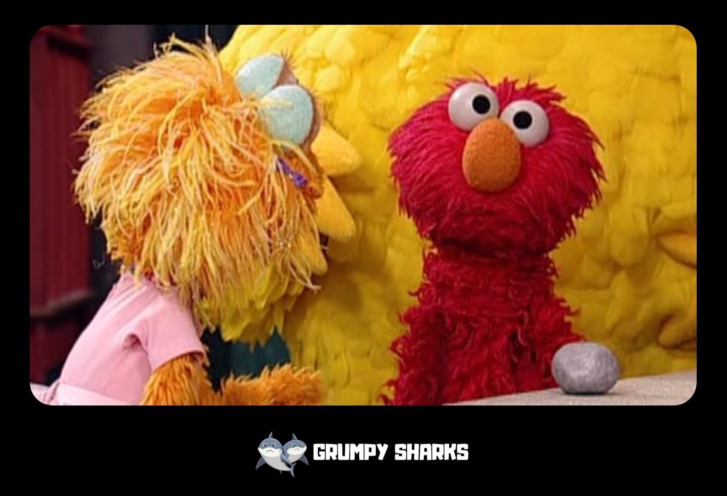 Elmo vs. Rocco