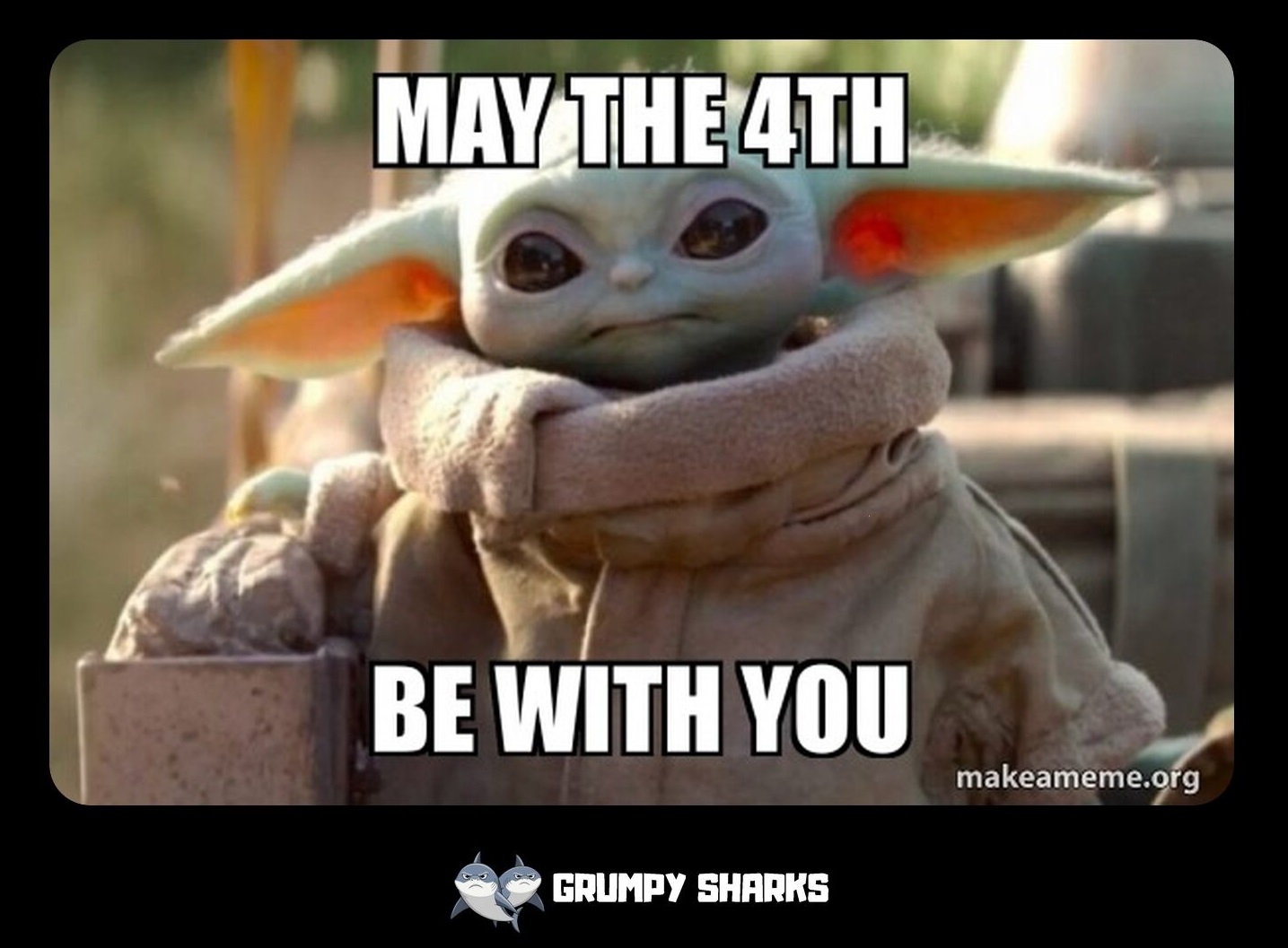 Why Is the May the 4th be with you meme So Popular?