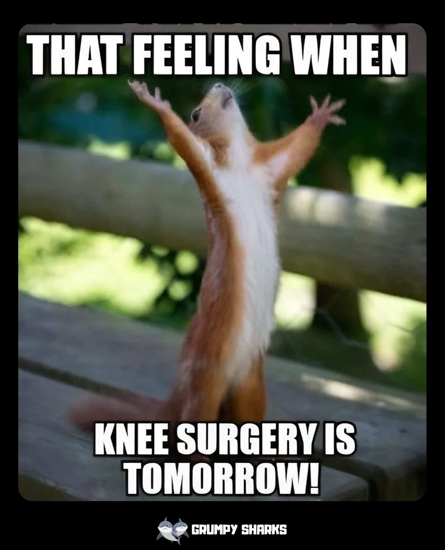 What is the Origin of the Knee Surgery meme?