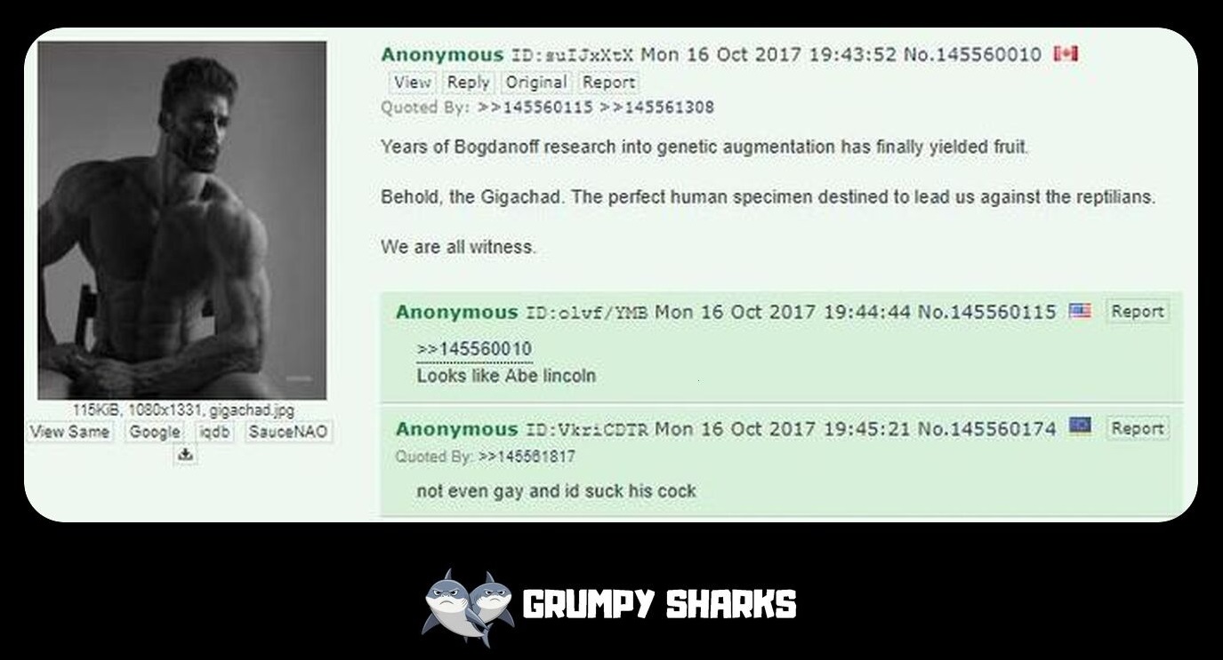 The Origin Of the gigachad meme