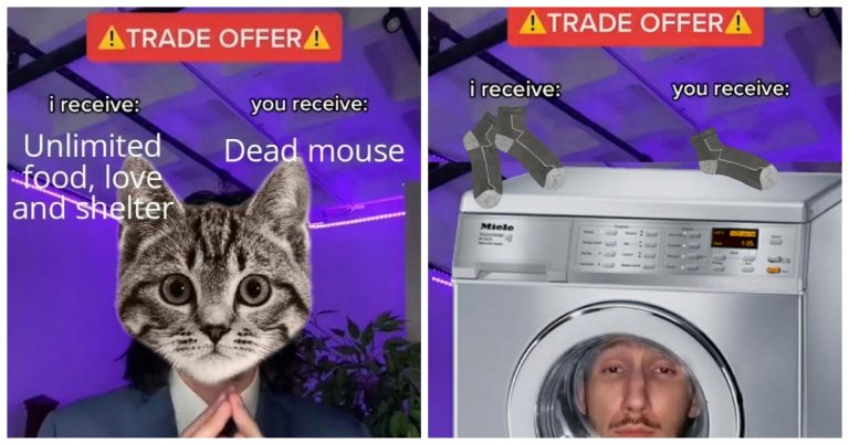 Trade Offer Meme Explained: Origin, Meaning, How It Went Viral and Notable Variations